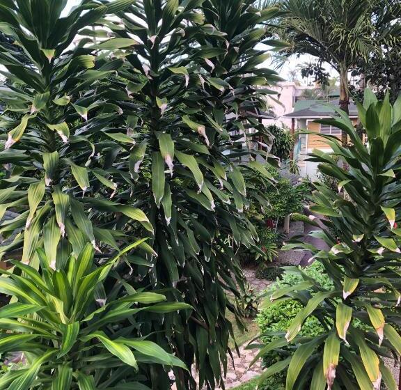 هتل Casa Robinson