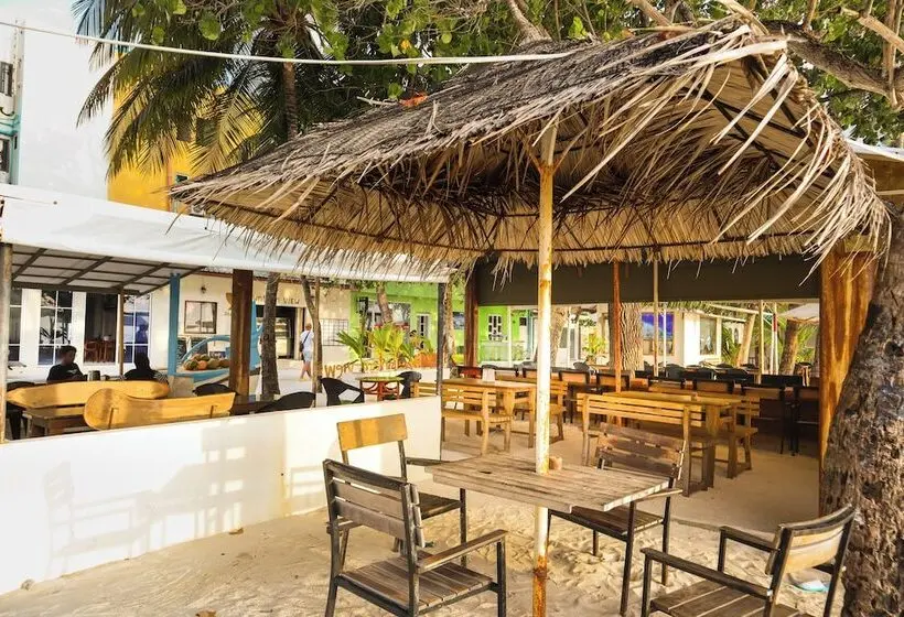 هتل The Turtle Hive Velaa Vani Dhiffushi
