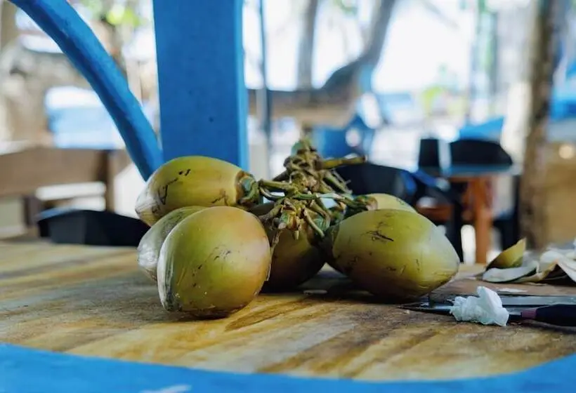 هتل The Turtle Hive Velaa Vani Dhiffushi