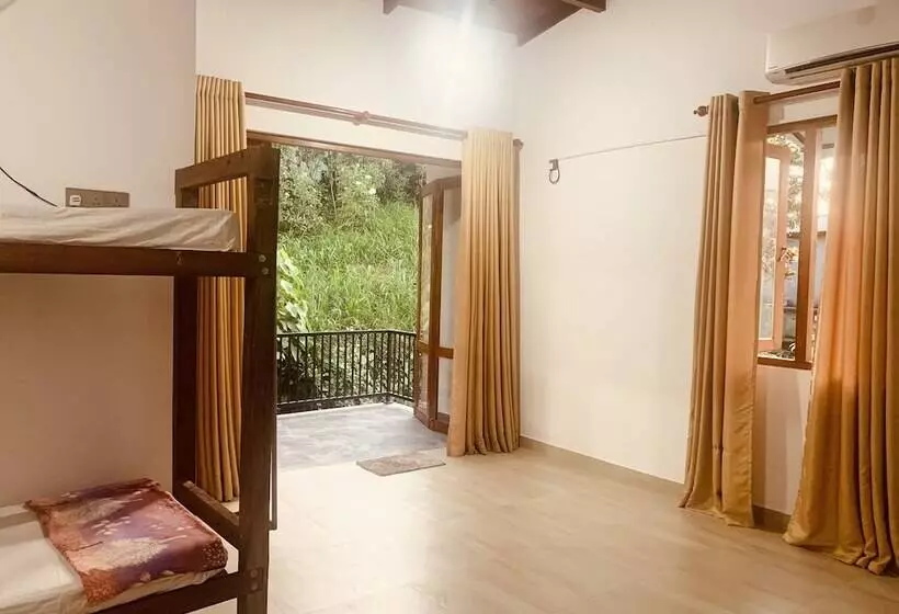 Jungle City Hostel