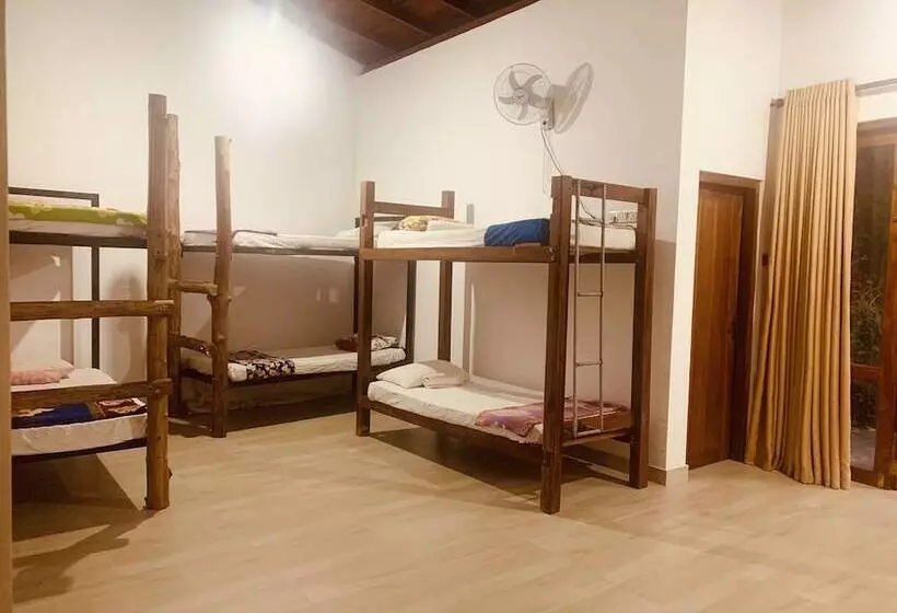 Jungle City Hostel