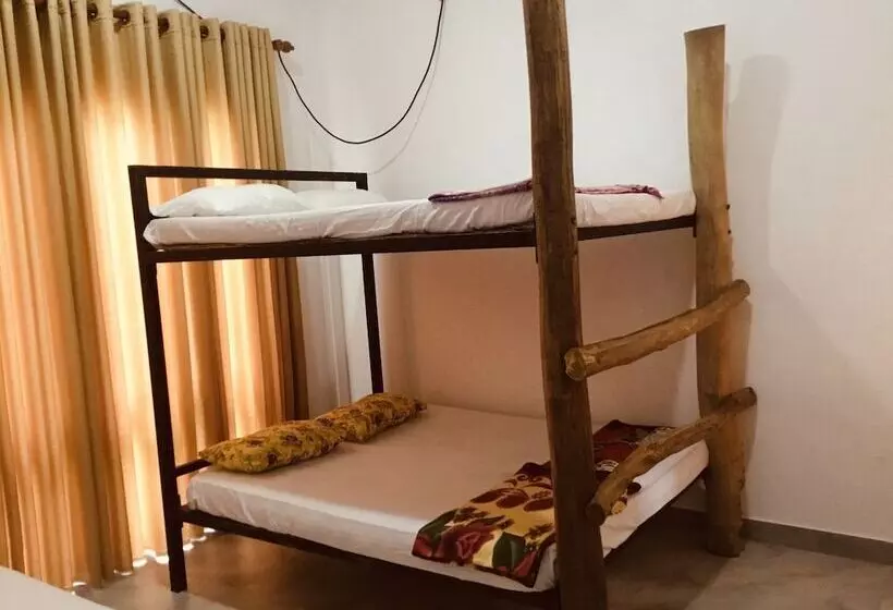 Jungle City Hostel