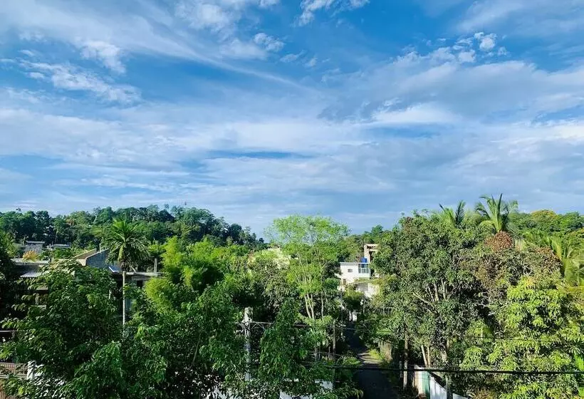 Jungle City Hostel