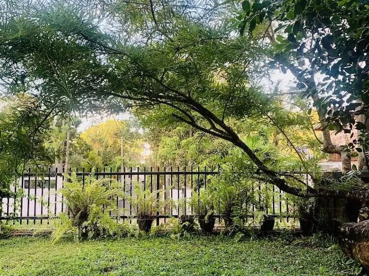 Jungle City Hostel
