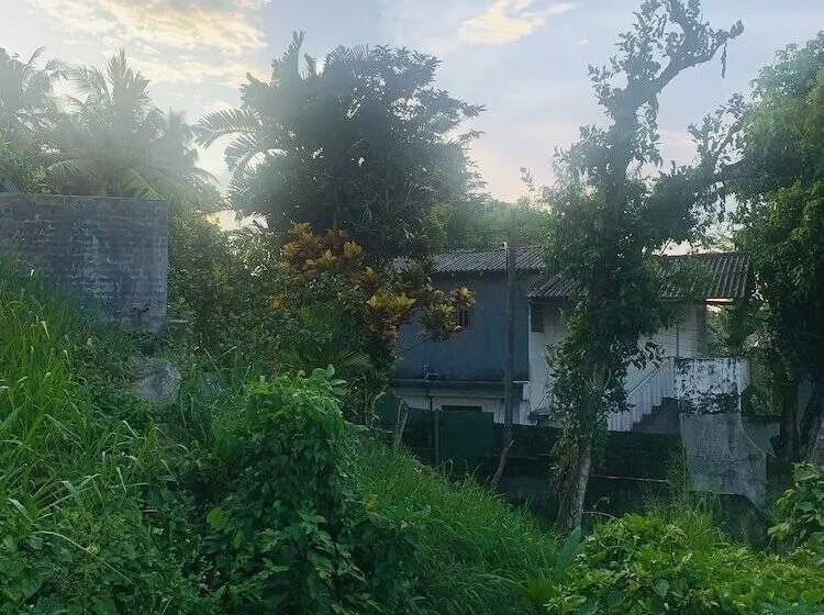Jungle City Hostel