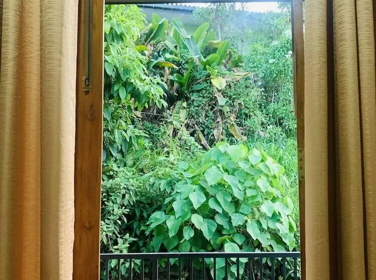 Jungle City Hostel