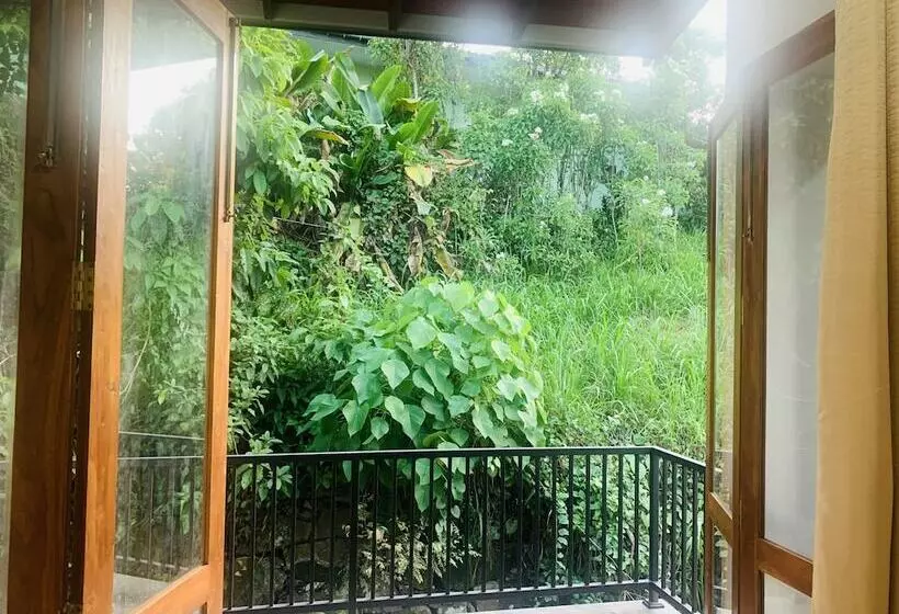 Jungle City Hostel