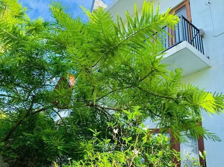 Jungle City Hostel