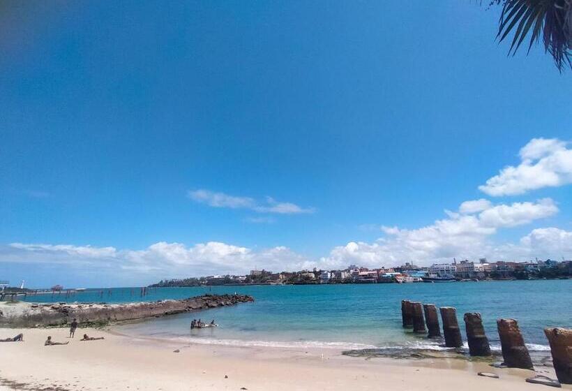 تختخواب و صبحانه Cdh Backpackers Premium