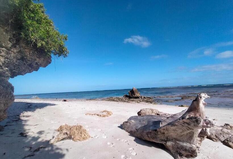 تختخواب و صبحانه Cdh Backpackers Premium