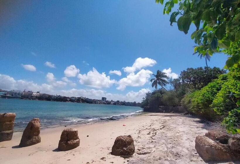 تختخواب و صبحانه Cdh Backpackers Premium