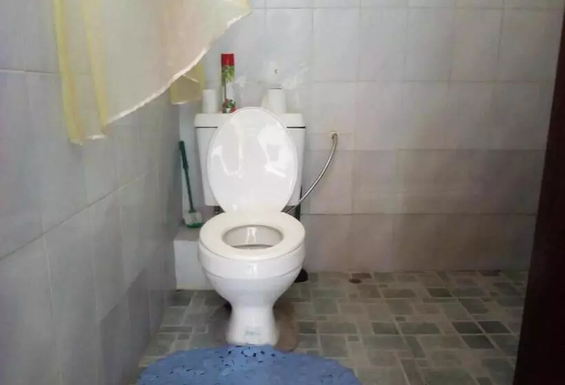 تختخواب و صبحانه Cdh Backpackers Premium