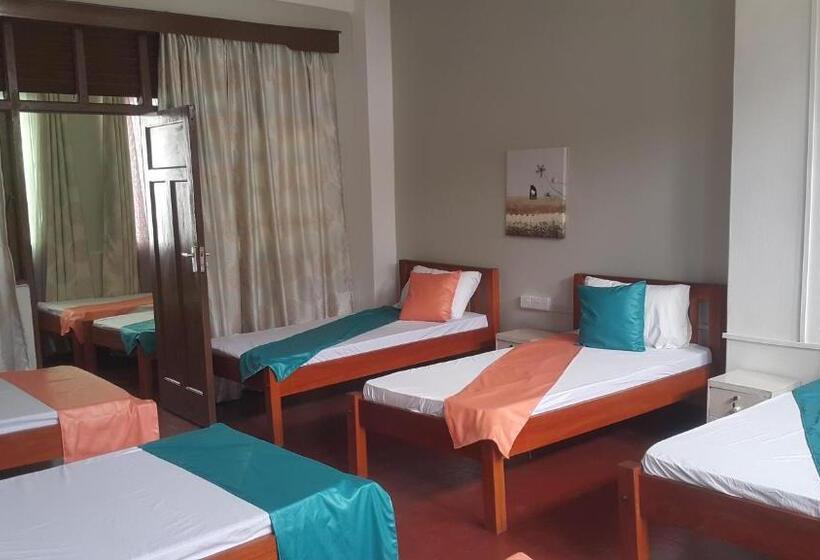 تختخواب و صبحانه Cdh Backpackers Premium