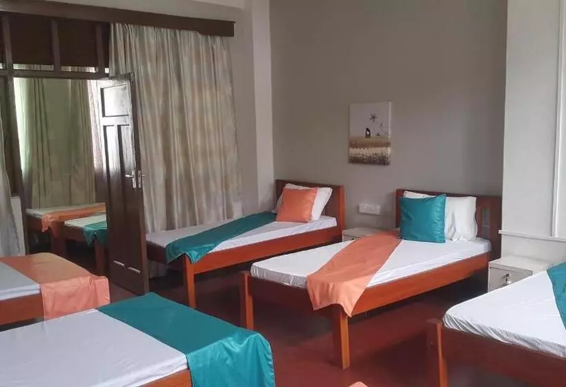 تختخواب و صبحانه Cdh Backpackers Premium