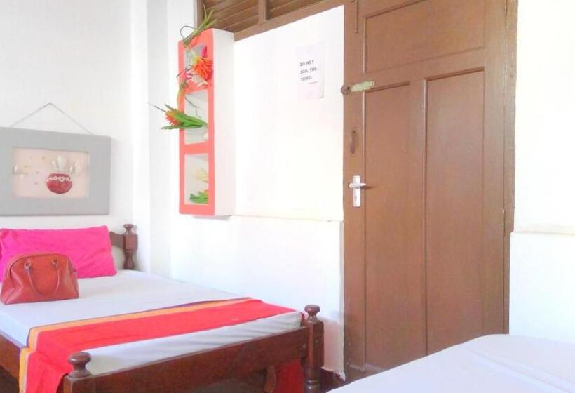 تختخواب و صبحانه Cdh Backpackers Premium