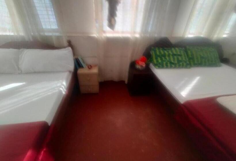 تختخواب و صبحانه Cdh Backpackers Premium