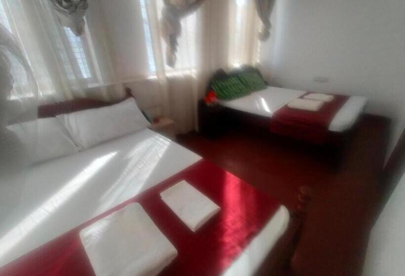 تختخواب و صبحانه Cdh Backpackers Premium