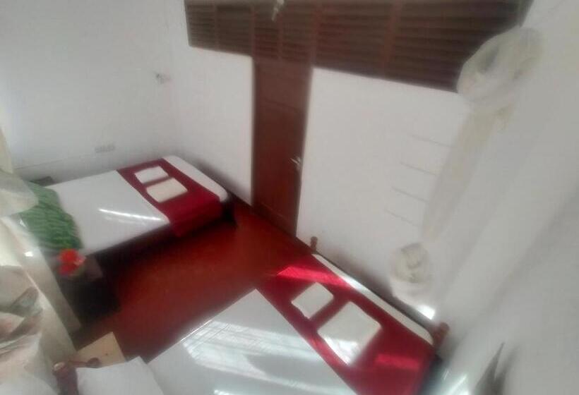 تختخواب و صبحانه Cdh Backpackers Premium