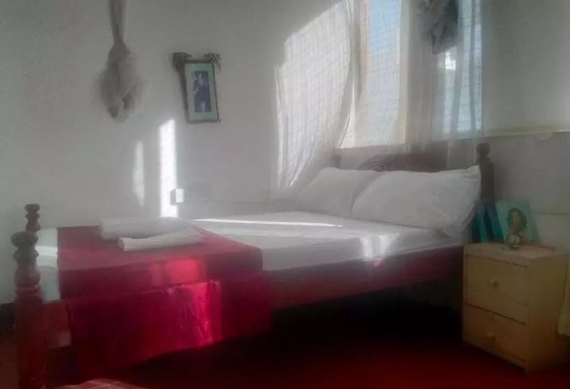 تختخواب و صبحانه Cdh Backpackers Premium