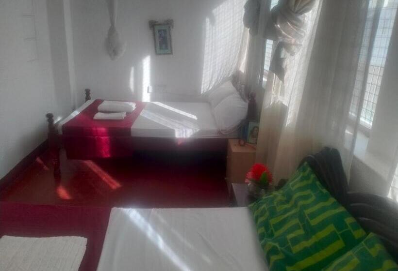 تختخواب و صبحانه Cdh Backpackers Premium