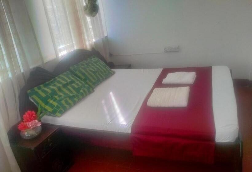 تختخواب و صبحانه Cdh Backpackers Premium