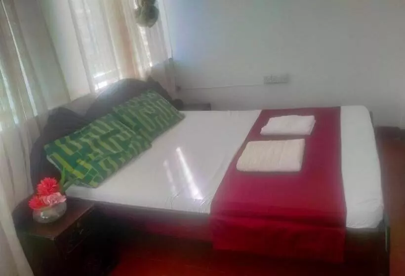 تختخواب و صبحانه Cdh Backpackers Premium