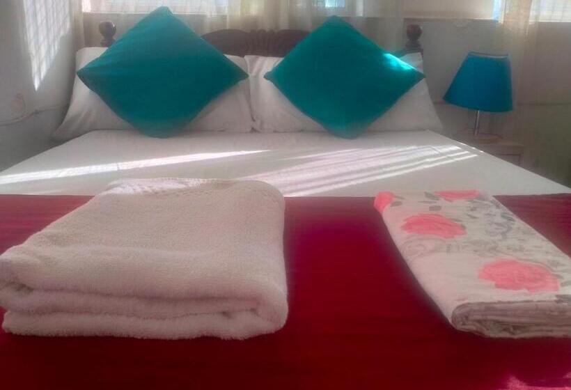 تختخواب و صبحانه Cdh Backpackers Premium