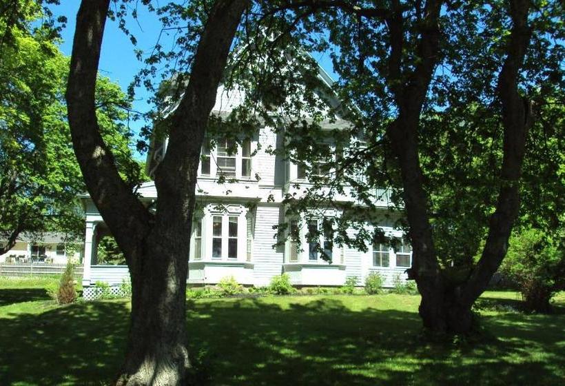 Bed and Breakfast The Library Inn