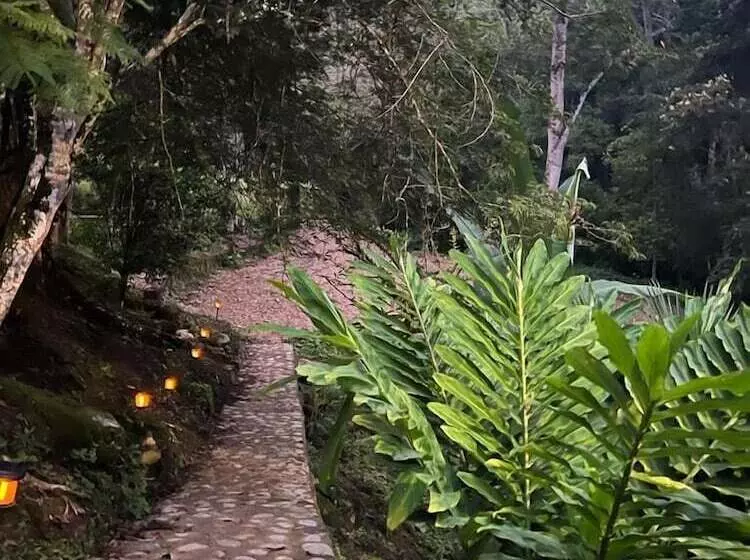 ホテル Cabañas Monteleon  Pailcol Huila