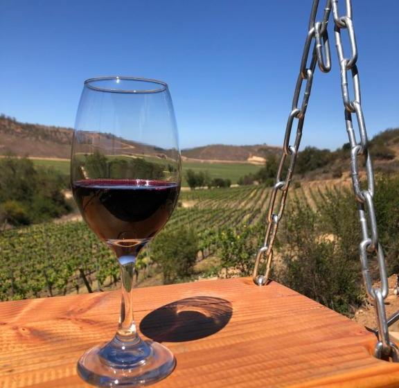 Casa Columpio Casavino