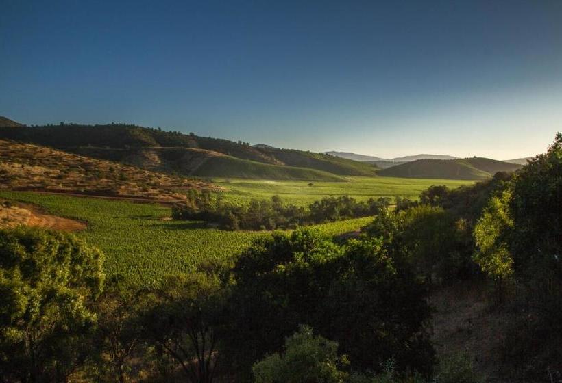 Casa Columpio Casavino