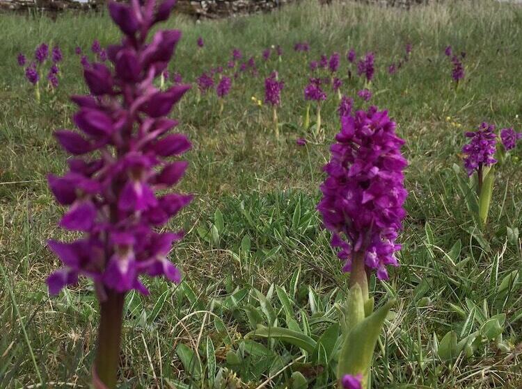 فندق Gammalsbygårdens Gästgiveri