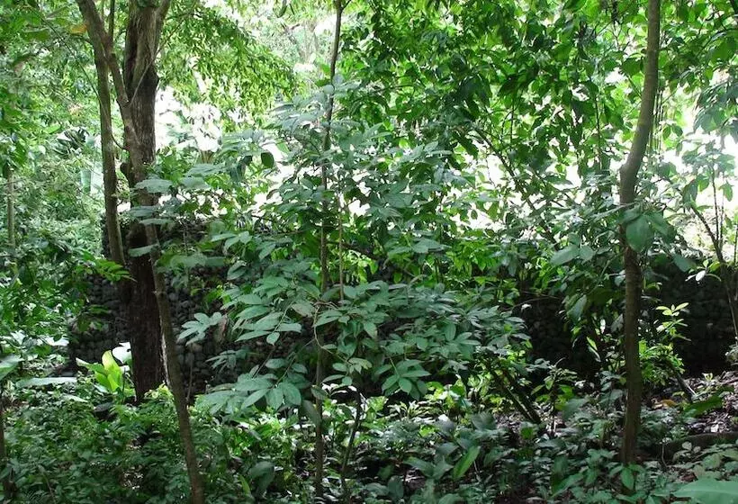 تختخواب و صبحانه Val Hotel Manuel Antonio