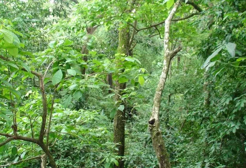 تختخواب و صبحانه Val Hotel Manuel Antonio