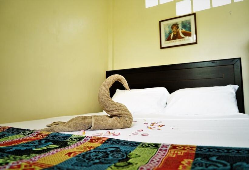 Hideaway Dive Hostel