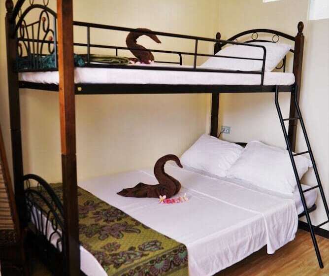 Hideaway Dive Hostel