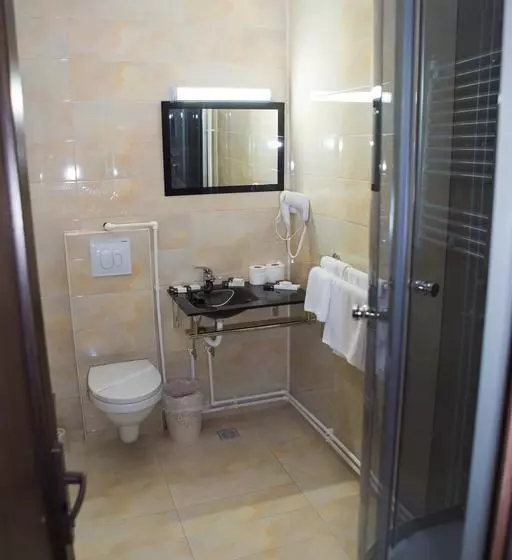 Hotel Pensiunea Dallas