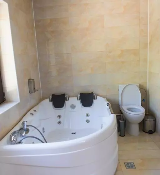 Hotel Pensiunea Dallas