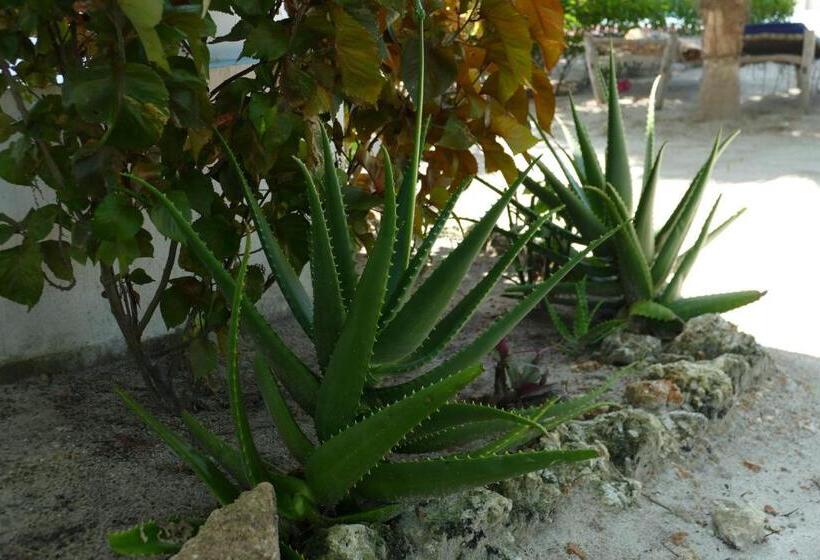 هتل Villa Francesca Boutique