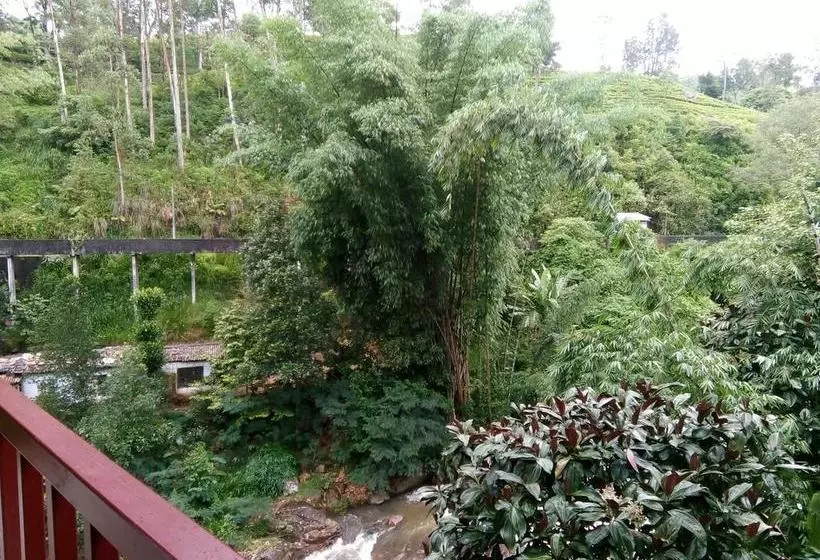 هتل The Inn On The River