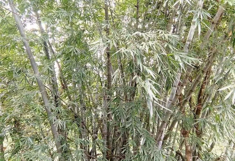 هتل The Inn On The River