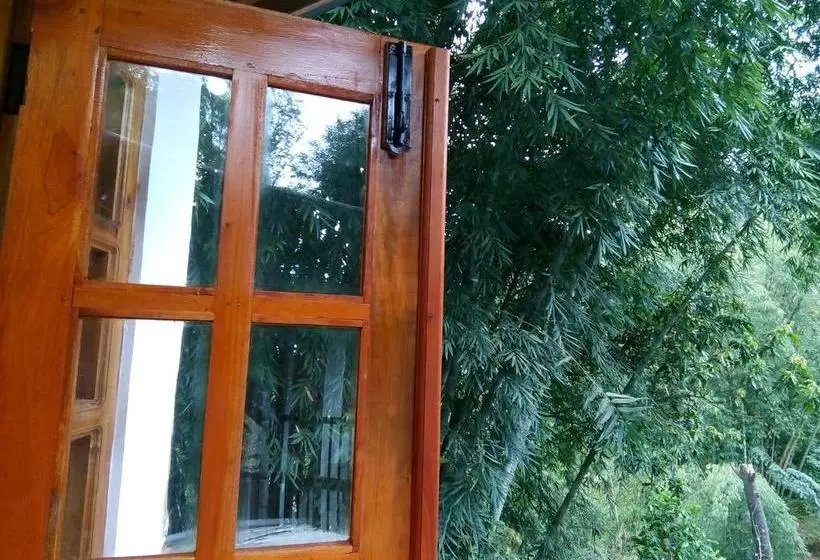 هتل The Inn On The River