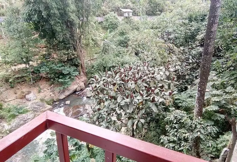 هتل The Inn On The River