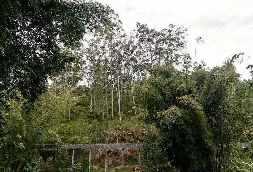 هتل The Inn On The River