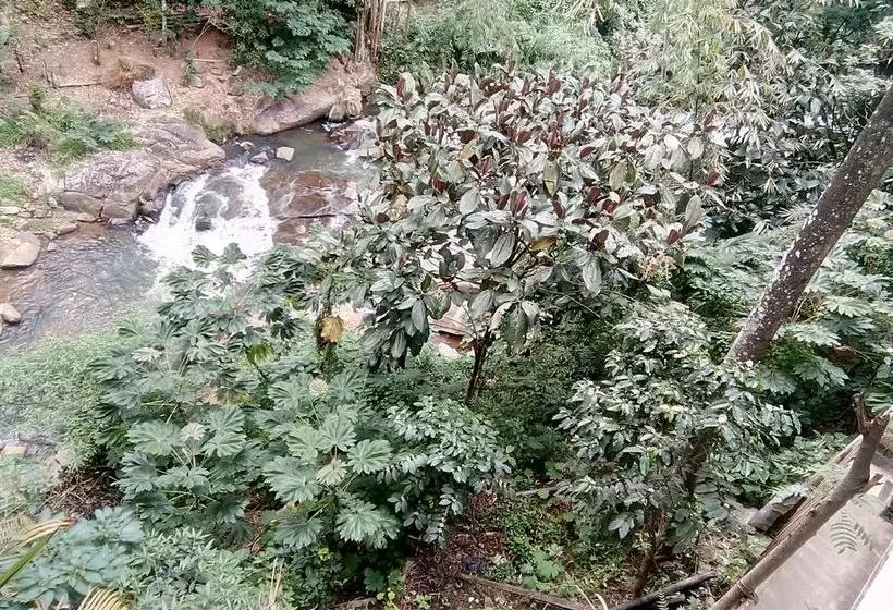 هتل The Inn On The River