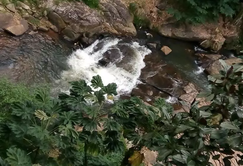 هتل The Inn On The River