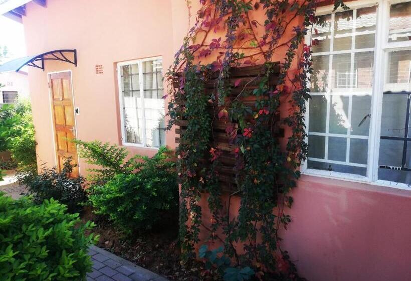 Mashusha Bed & Breakfast