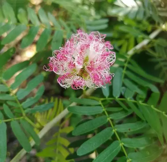 Hotelli Secret Garden