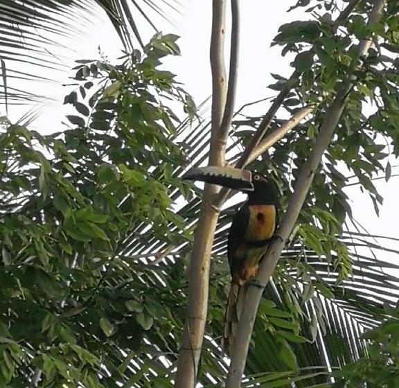 هتل Secret Garden