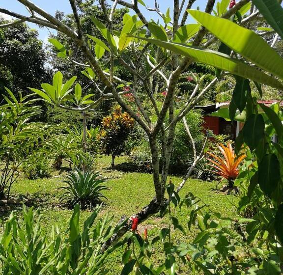 هتل Secret Garden